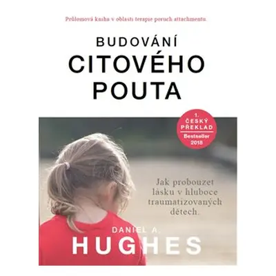 Budování citového pouta - Daniel A. Hughes