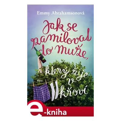 Jak se zamilovat do muže, který žije v křoví - Emmy Abrahamsonová