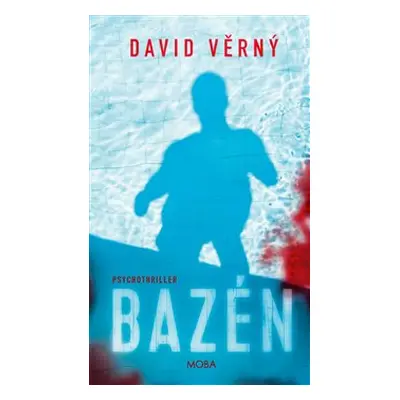 Bazén - David Věrný