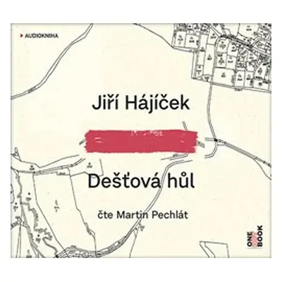 Dešťová hůl - Jiří Hájíček