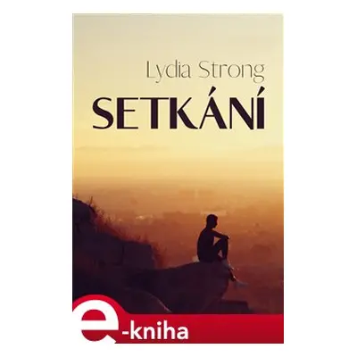 Setkání - Lydia Strong