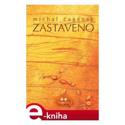 Zastaveno - Michal Čagánek