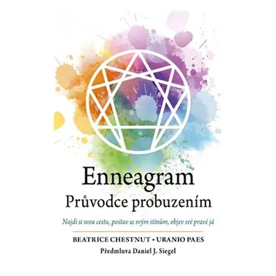 Enneagram – Průvodce probuzením - Uranio Paes, Beatrice Chestnut