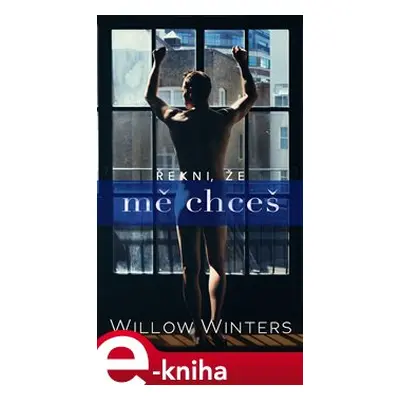 Řekni, že mě chceš - Willow Winters