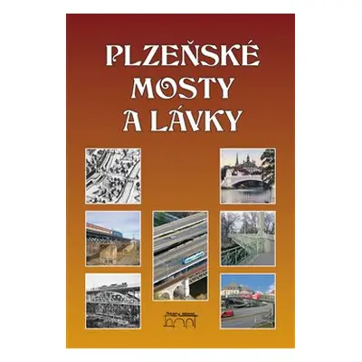 Plzeňské mosty a lávky - Miroslav Liška