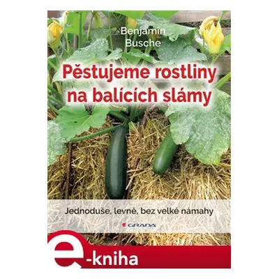 Pěstujeme rostliny na balících slámy - Benjamin Busche