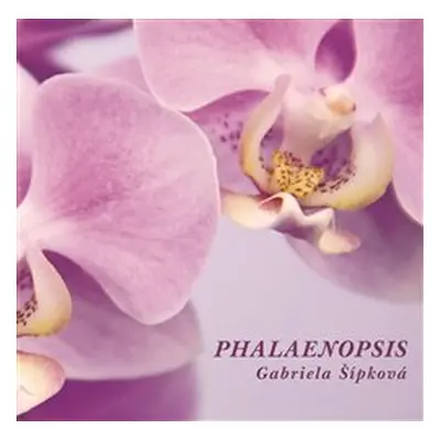 Phalaenopsis - Gabriela Šípková