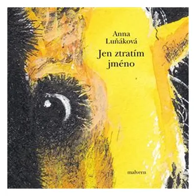 Jen ztratím jméno - Anna Luňáková