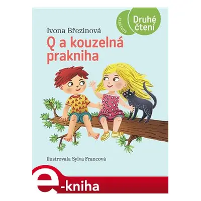 Q a kouzelná prakniha - Ivona Březinová