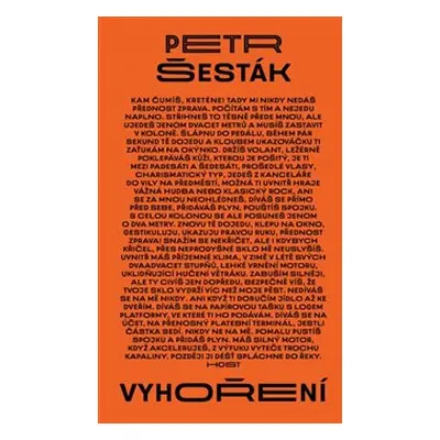 Vyhoření - Petr Šesták