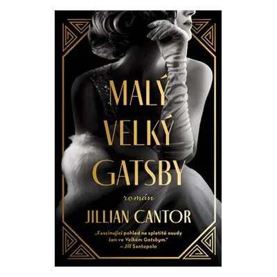 Malý velký Gatsby - Jillian Cantorová