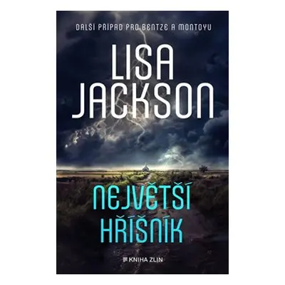 Největší hříšník - Lisa Jackson