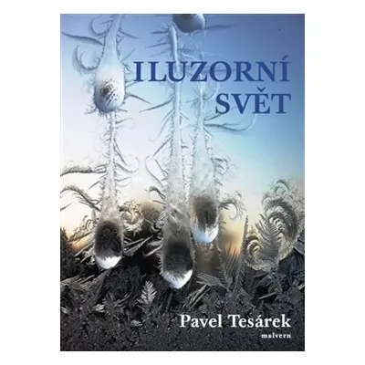 Iluzorní svět - Pavel Tesárek