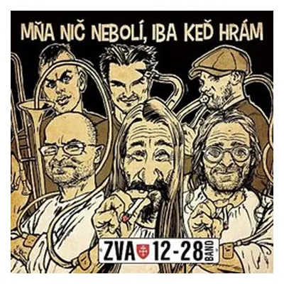 Mňa nič nebolí, iba keď hrám - ZVA 12-28 Band