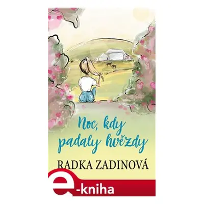 Noc, kdy padaly hvězdy - Radka Zadinová