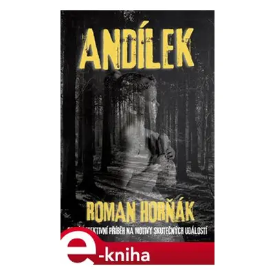 Andílek - Roman Horňák