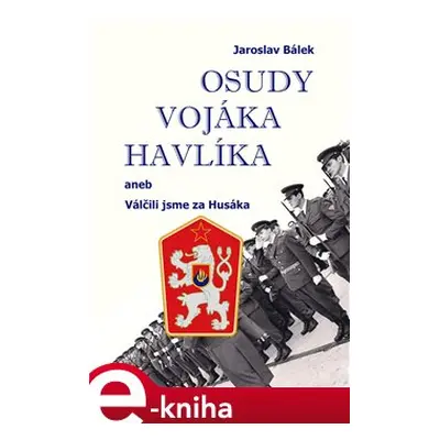 Osudy vojáka Havlíka - Jaroslav Bálek