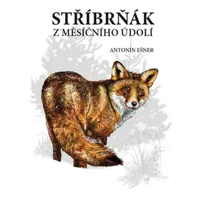 Stříbrňák z Měsíčního údolí - Antonín Ešner