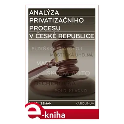 Analýza privatizačního procesu v České republice - Karel Zeman