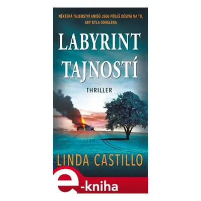 Labyrint tajností - Linda Castillo