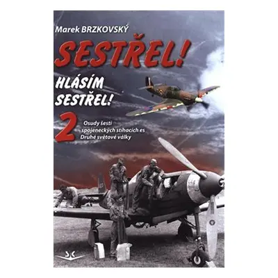 Sestřel, hlásím sestřel 2 - Marek Brzkovský