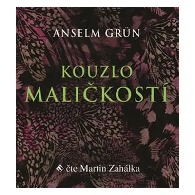 Kouzlo maličkostí - Anselm Grün