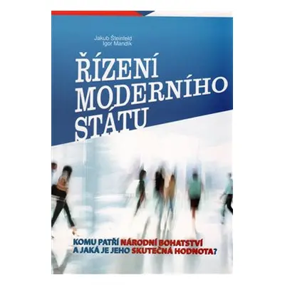 Řízení moderního státu - Jakub Šteinfeld, Igor Mandík