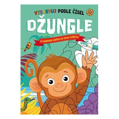 Džungle - Vybarvuj podle čísel - Hannah Campling