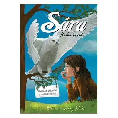 Sára. Kniha první - Jerry Hicks, Esther Hicks