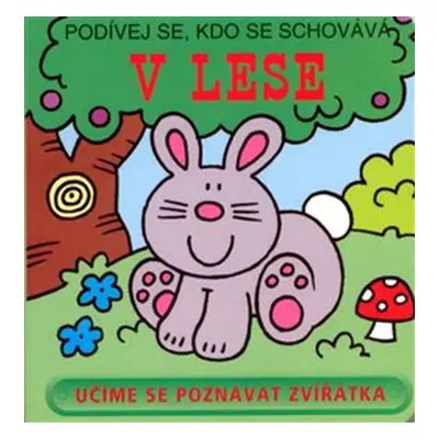 V lese - Podívej se, kdo se schovává