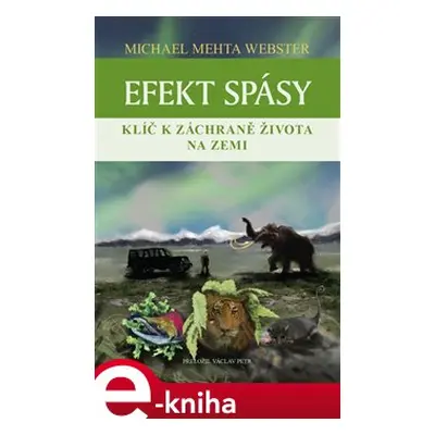 Efekt spásy - Michael Mehta Webster