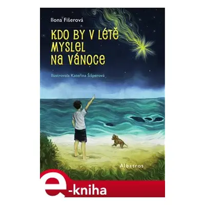 Kdo by v létě myslel na Vánoce - Ilona Fišerová