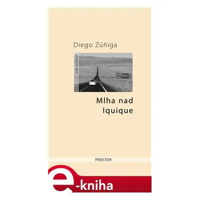 Mlha nad Iquique - Diego Zúniga