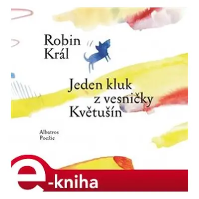 Jeden kluk z vesničky Květušín - Robin Král