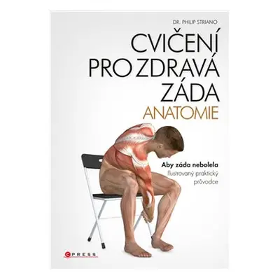 Cvičení pro zdravá záda - anatomie - Philip Striano