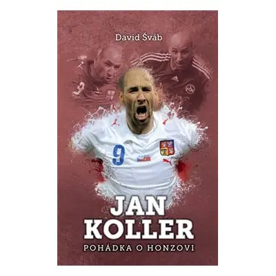 Jan Koller: pohádka o Honzovi - David Šváb