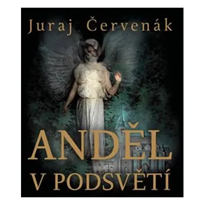 Anděl v podsvětí - Červenák Juraj, Vázaná