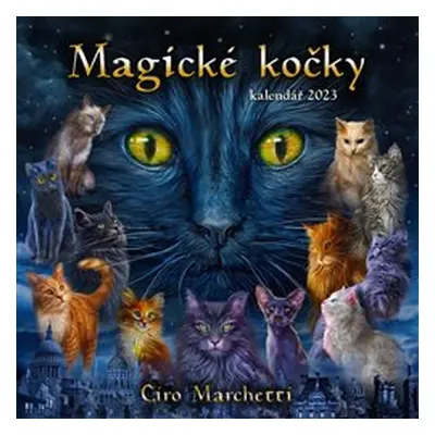 Magické kočky Marchetti Ciro 2023