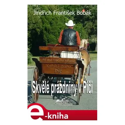 Skvělé prázdniny v Píči - Jindřich František Bobák