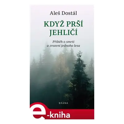 Když prší jehličí - Aleš Dostál