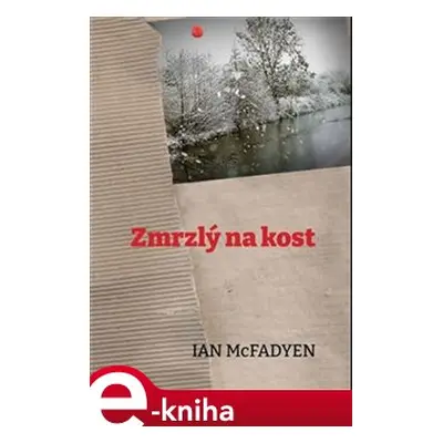 Zmrzlý na kost - Ian McFadyen