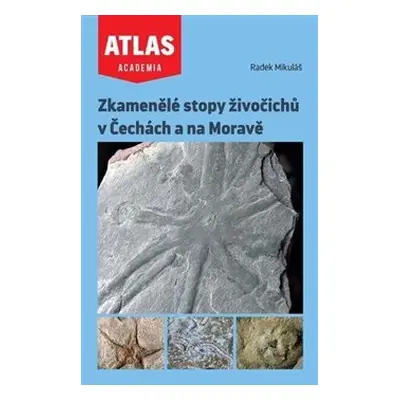 Zkamenělé stopy živočichů v Čechách a na Moravě - Radek Mikuláš