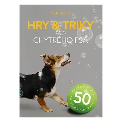 Hry a triky pro chytrého psa - Sophie Collins