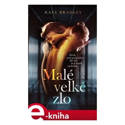 Malé velké zlo - Kate Bradley