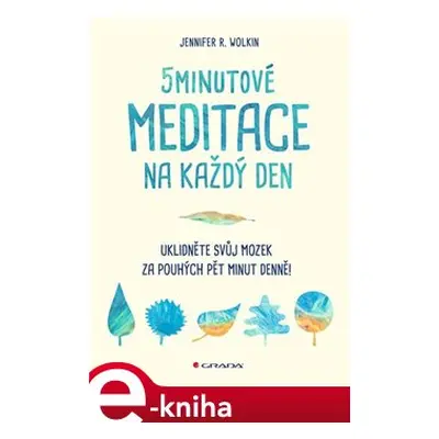 5minutové meditace na každý den - Jennifer R. Wolkin