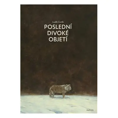 Poslední divoké objetí - Luděk Čertík