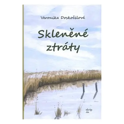 Skleněné ztráty - Veronika Doskočilová