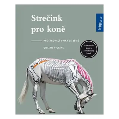 Strečink pro koně - Protahovací cviky ze země - Gillian Higginsová