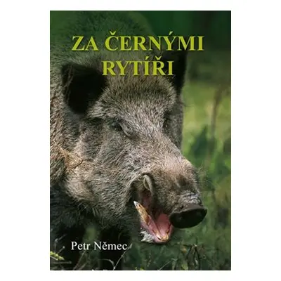 Za černými rytíři - Petr Němec