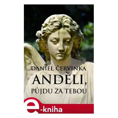 Anděli, půjdu za tebou - Daniel Červinka